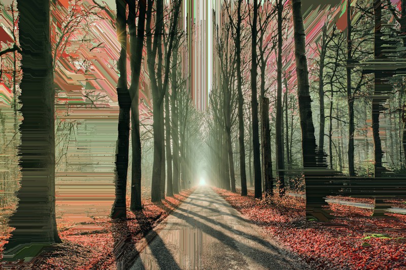 artistic, forest, road, hd, 4k, 5k, trees, glitch