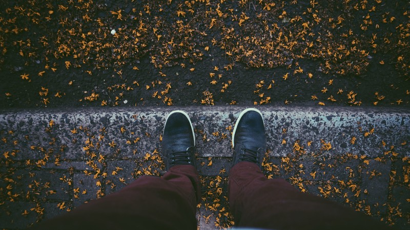 autumn, sneakers, leaves, 4k, 5k, hd