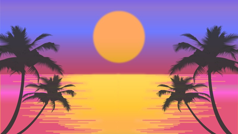 trees, palm, nature, hd, sun, 4k, 5k, 8k