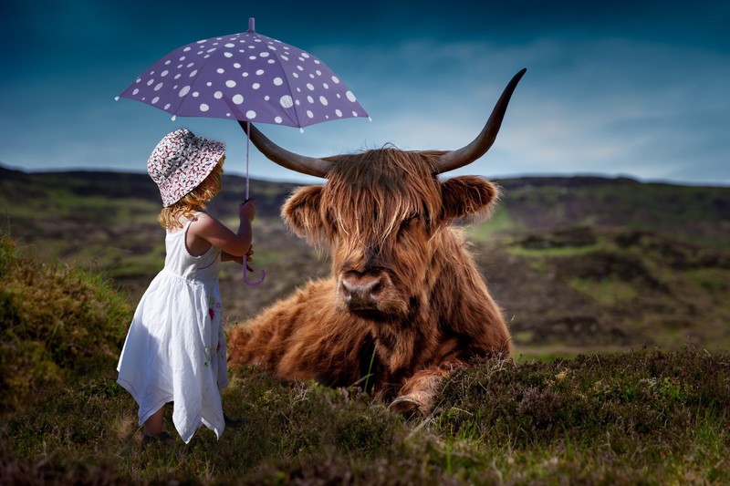 child, cow, umbrella, 4k, 5k, hd, cute, photography