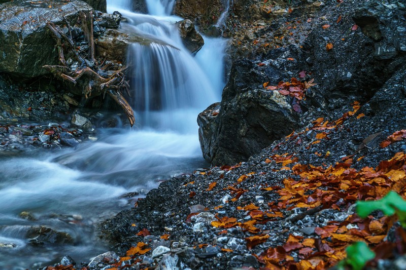 waterfall, forest, nature, hd, 4k, 5k