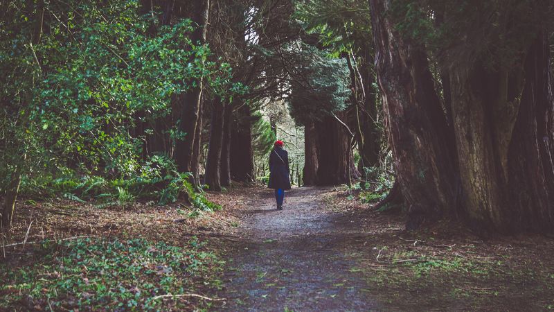 girl, forest, alone, nature, 4k