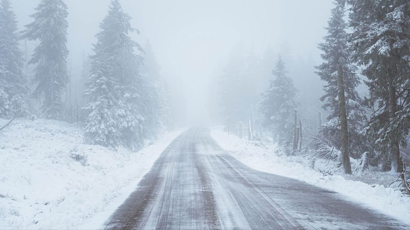 road, snow, blizzard, trees, winter, 4k