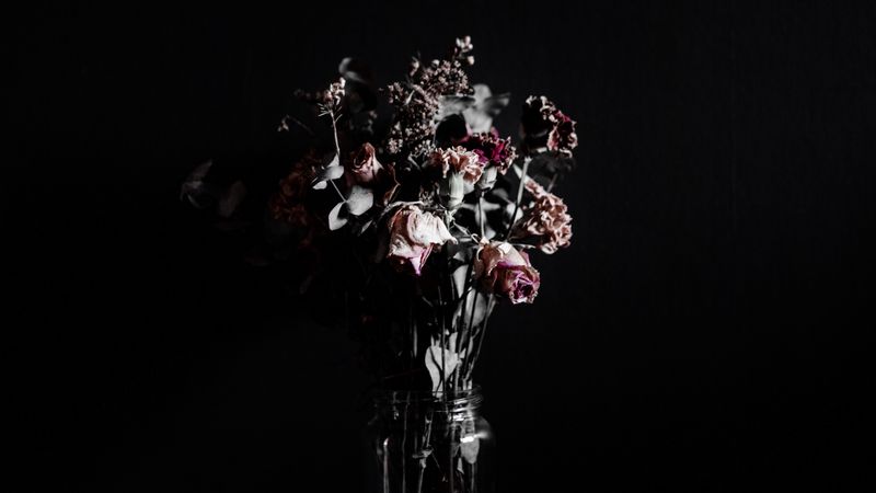 flowers, bouquet, dark, 4k