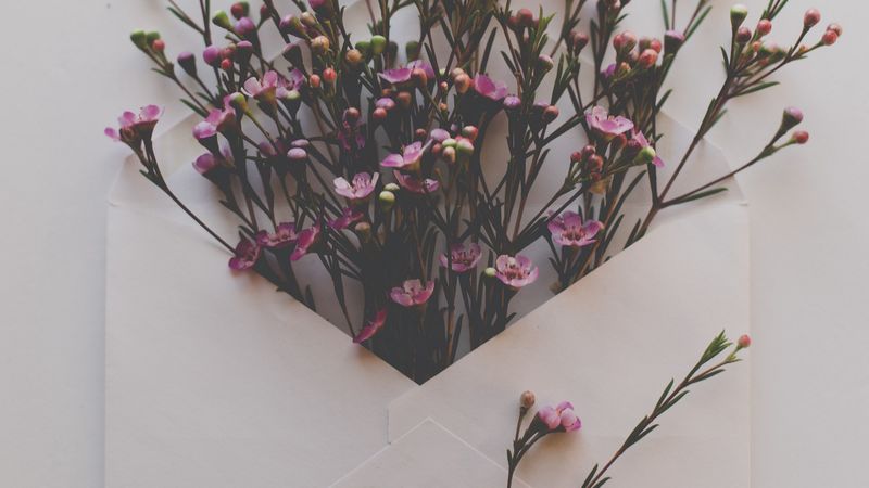 envelope, flowers, bouquet, 4k