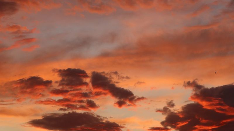 clouds, sky, sunset, pink, beautiful, 4k