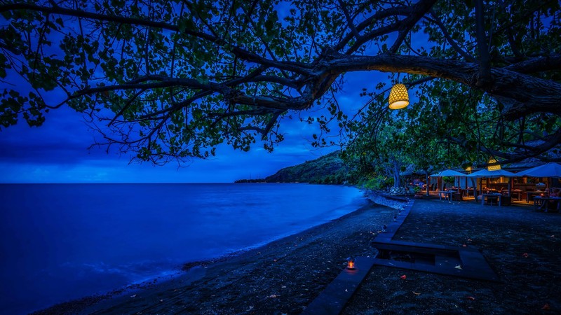 nature, trees, blue, hd