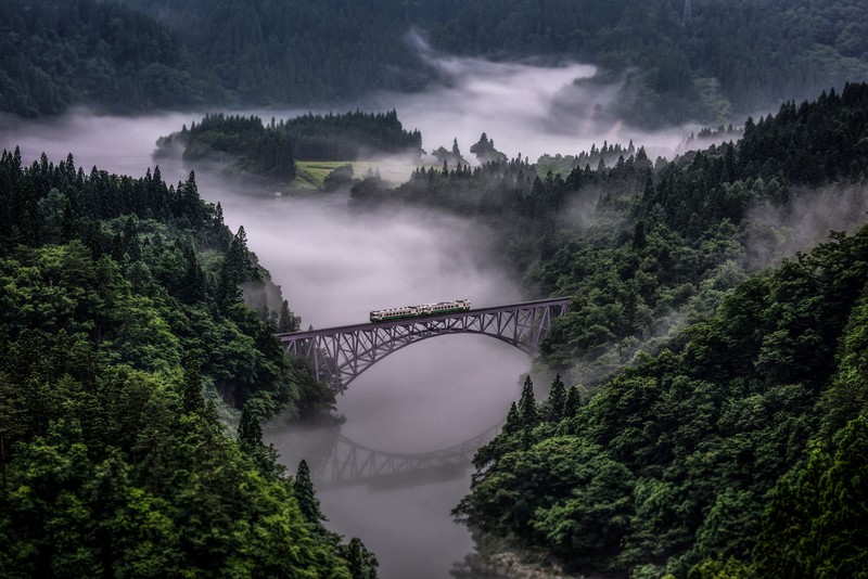 nature, trees, river, fog, hd, train, 4k, 5k