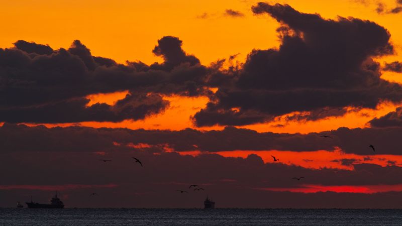 sunset, sea, ship, birds, clouds, 4k