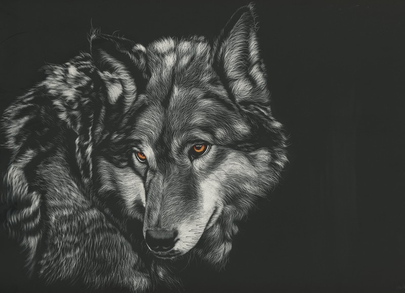 wolf, painting, animals, 4k, hd, monochrome, black and white