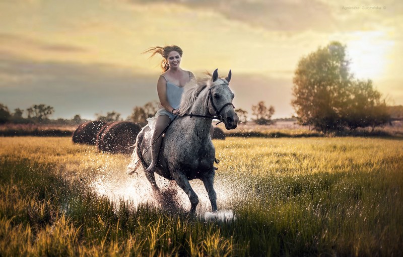 girls, horse, hd, field, 4k, 5k