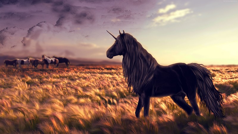 unicorn, artist, artwork, hd, 4k, digital art