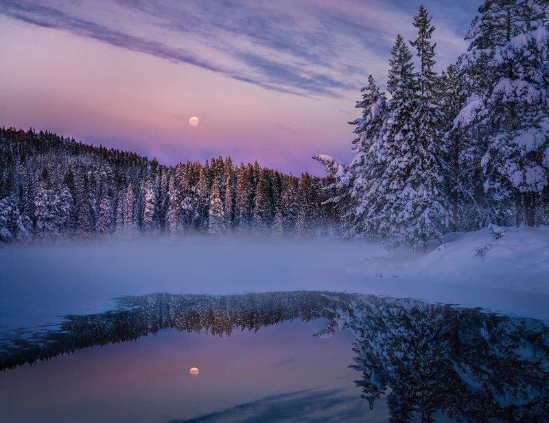 nature, trees, snow, hd, fog, lake