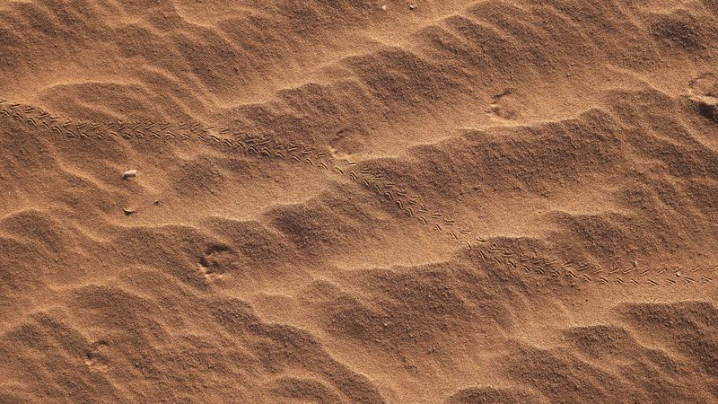 texture, sand, brown, traces, 4k