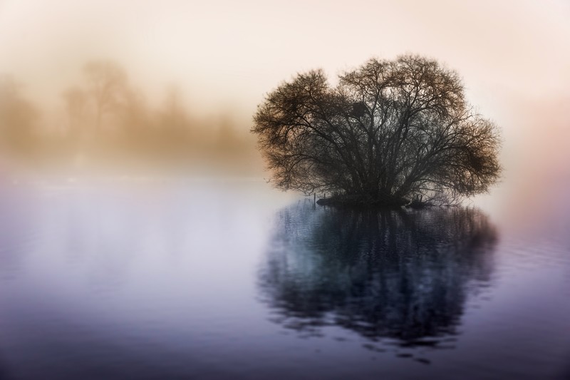 lake, 4k, 5k, nature, hd, flickr