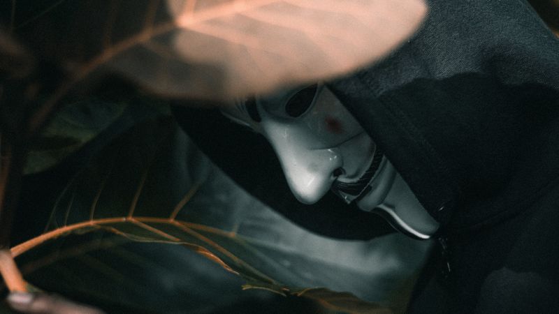 anonymous, mask, hood, leaves, plant, 4k