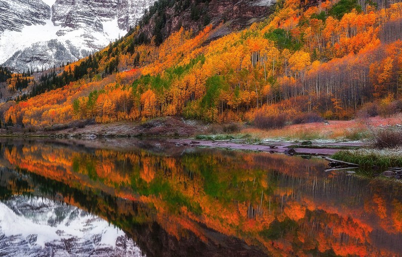 reflection, nature, lake, forest, hd
