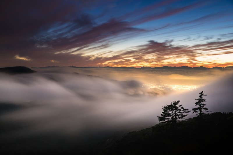 landscape, nature, fog, hd