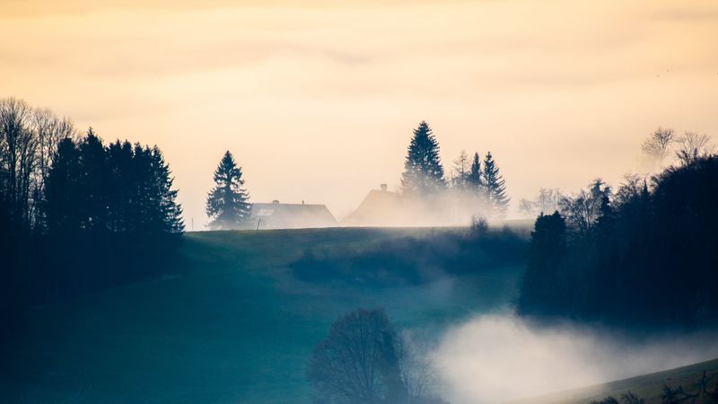 hills, trees, fog, clouds, landscape, 4k