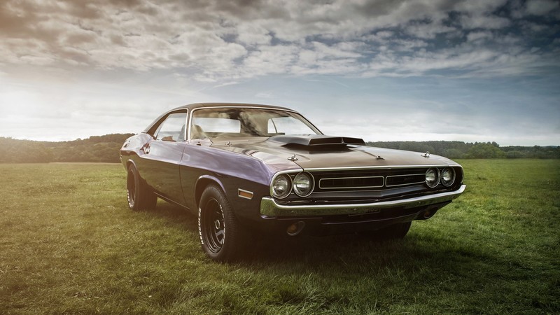 dodge challenger, cars, vintage cars, 4k, hd, muscle cars