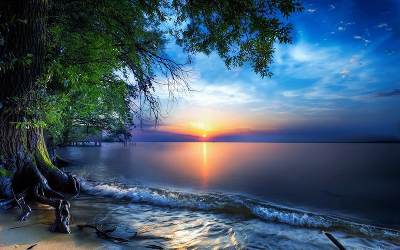nature, trees, sun, skyline, hd, sea, sky