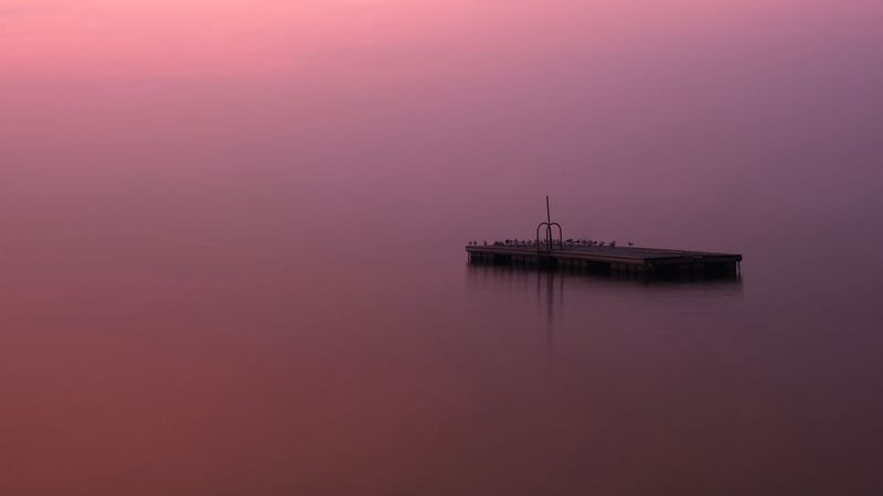 lake, fog, pier, birds, minimalism, 4k