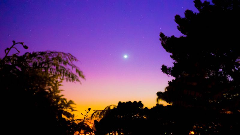 night, sky, stars, trees, dark, 4k
