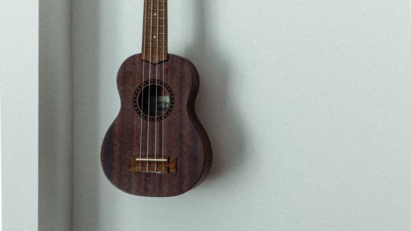 ukulele, musical instrument, strings, wall, 4k