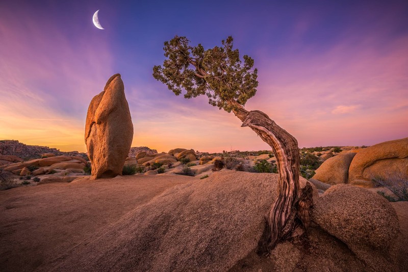 national park, nature, hd