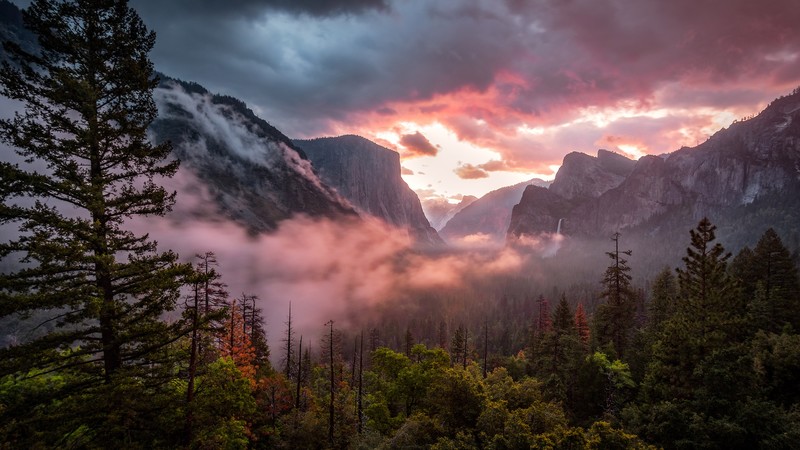 yosemite, national park, nature, hd, 4k, mountains, sky, trees