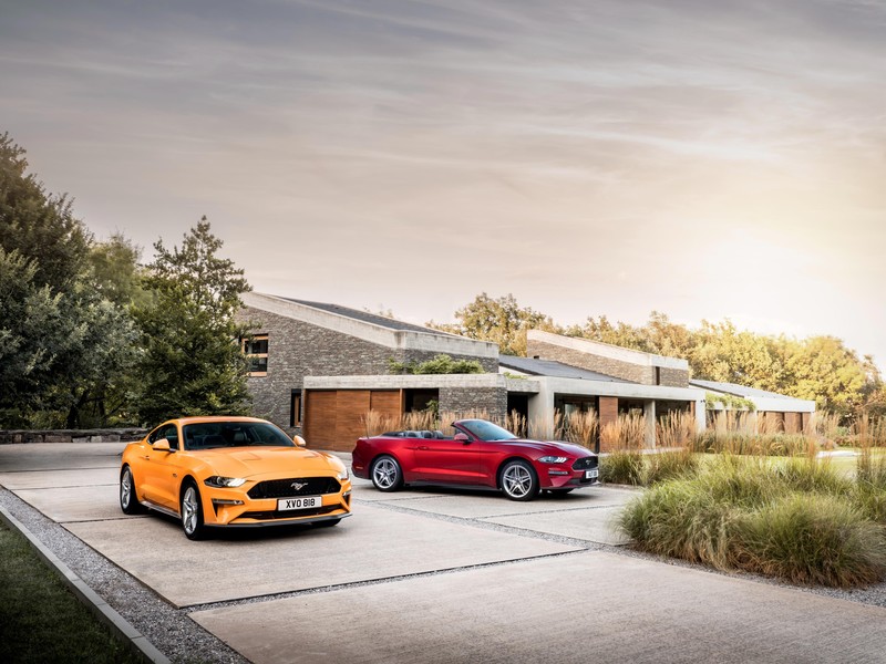 ford mustang, cars, 2017 cars, hd, 4k
