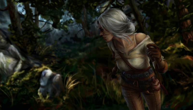the witcher 3, games, ps games, xbox games, pc games, artwork, hd, fantasy girls, deviantart