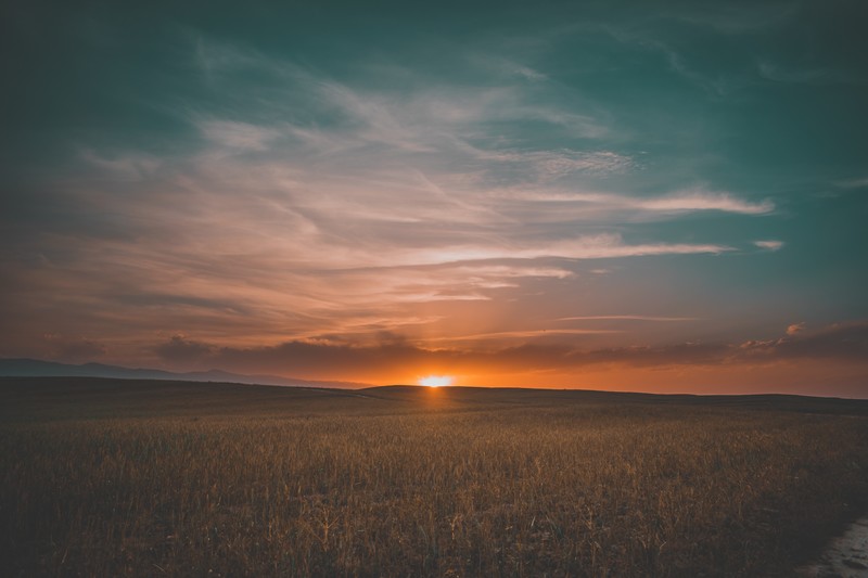 field, nature, sunrise, 4k, 5k, hd
