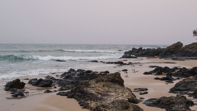 beach, seagulls, birds, rocks, waves, 4k