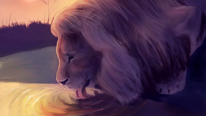 lion, water, protruding tongue, art, wildlife, 4k