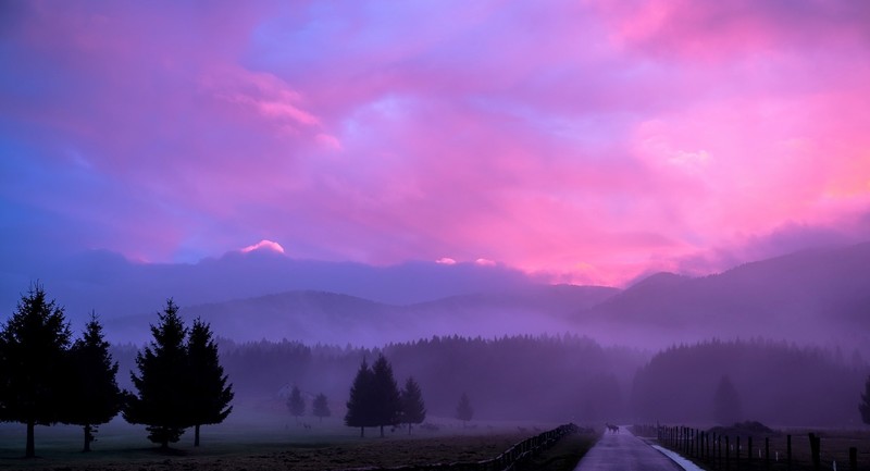 sunset, nature, pink, hd