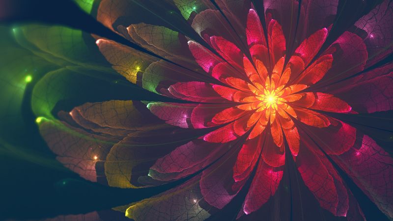 fractal, flower, abstraction, colorful, glow, 4k