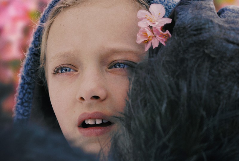 war for the planet of the apes, 2017 movies, movies, hd, aniah miller