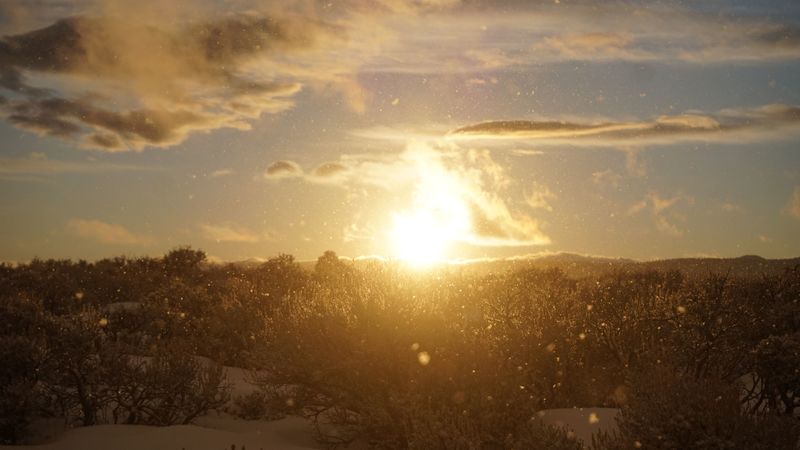 sunset, sun, snow, blizzard, winter, 4k