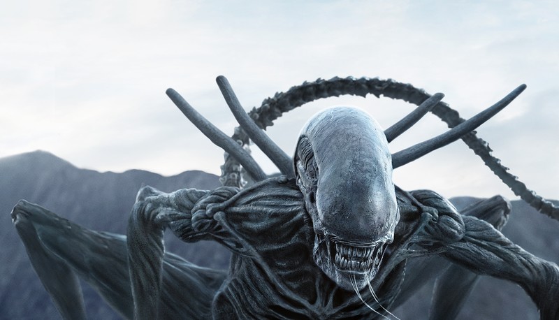 alien covenant, 2017 movies, movies, 4k, hd, alien