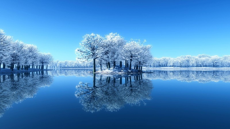 winter, nature, hd