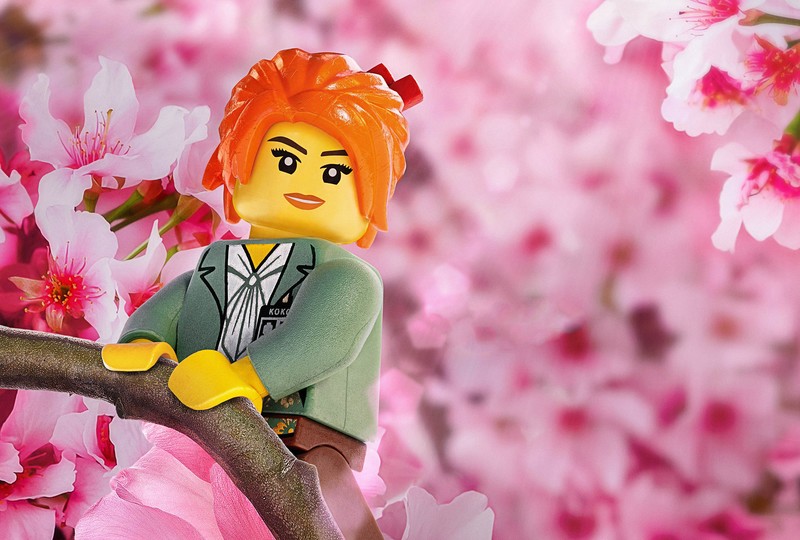 the lego ninjago movie, movies, 2017 movies, animated movies, hd