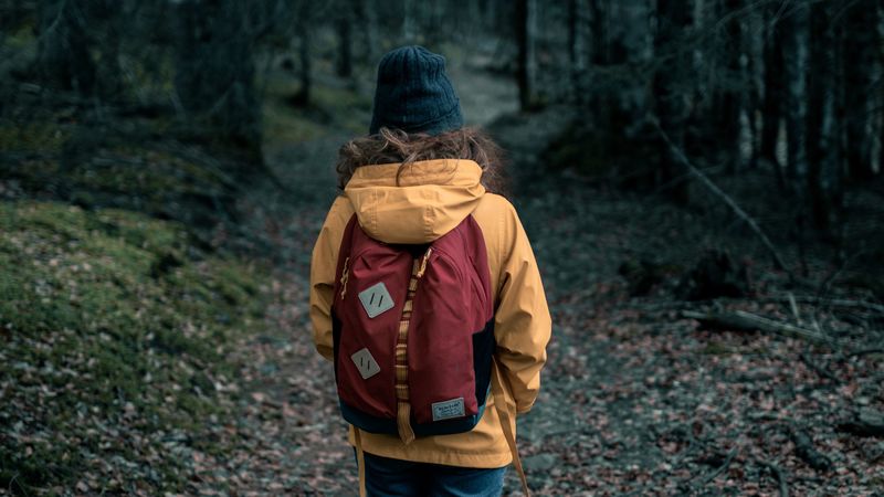 person, forest, loneliness, nature, walk, 4k