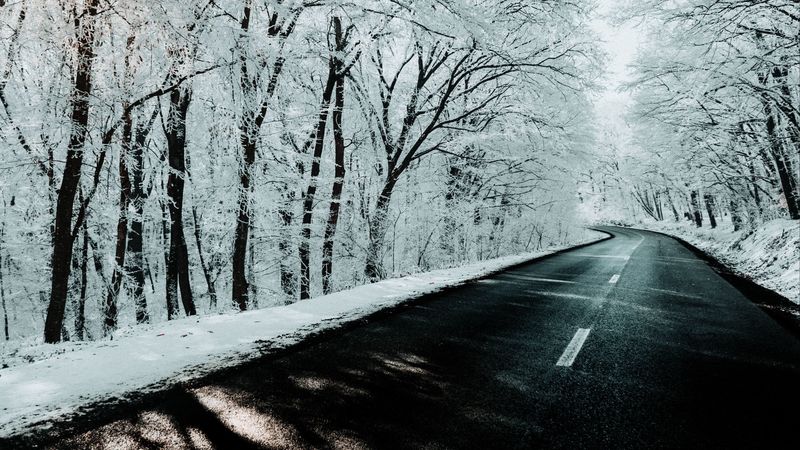road, trees, snow, winter, nature, 4k