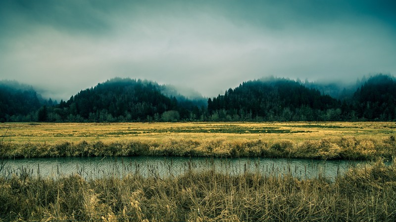 nature, mountains, hd, fog, trees