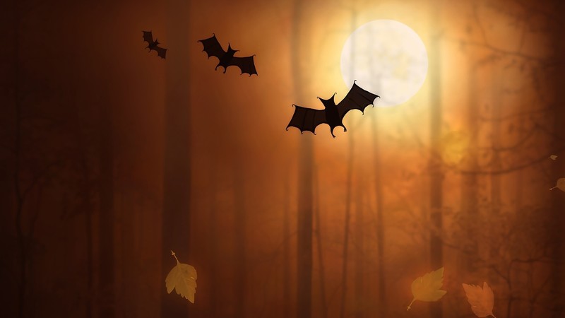 bats, night, moon, artist, digital art, hd
