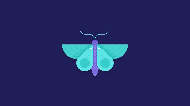 butterfly, minimalism, artist, hd, digital art