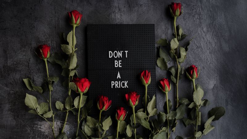 motivation, inscription, plate, roses, flowers, 4k
