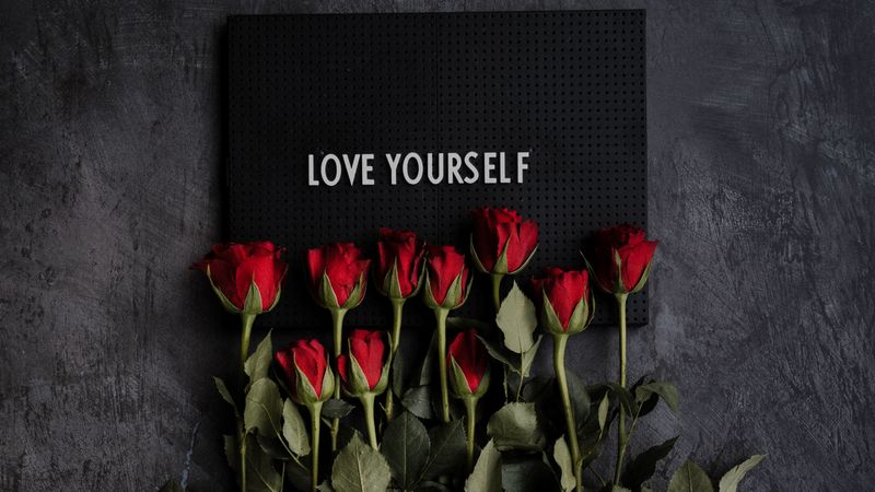 motivation, inscription, plate, flowers, roses, 4k