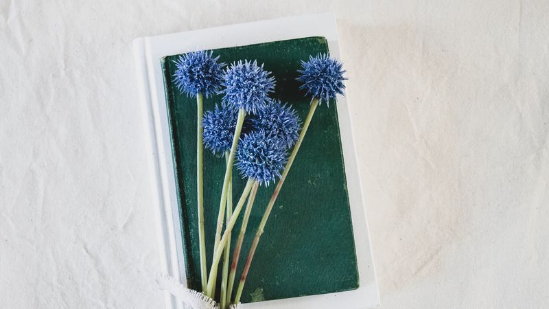 flowers, bouquet, book, 4k